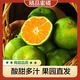 Yunnan mandarin, early ripening, green-skinned mandarin, fresh fruit for pregnant women, sour and sweet, seedless, seasonal citrus, thin-skinned mandarin, seedless, net weight of mandarin orange 3Jin Jin equals 0.5kg