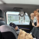 Litian Car Baby Beobachtung Spiegel Baby Car Innenraum Beobachtung Spiegel Sicherheitssitz Kinderwagen Rückspiegel Spiegel Korbspiegel Giraffe Real Schuss Hochqualität