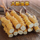 Cordyceps sinensis selection of Cordyceps sinensis gift box tonic for Cordyceps sinensis pure meat festival wine nutritional products 10 grams of Cordyceps sinensis [11 grams in total]