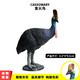 Simulación Oenux Modelo de animales Toys Bird Birds Owl Eagle Parrot Pavo Pavo avalde