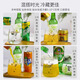 Jinlu South Korea imported soju green grape flavor 360ml sake ladies dessert wine low-grade grapefruit flavor liqueur wine