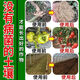 Soil-borne disease bactericide, agricultural soil fungicide, anti-repeat root rot, dead seedlings and root rot, 3 packs 500g*3