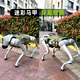 Yushu Unitree go2 robot chien électronique chien bionic compagnon robot robot à quatre pattes vocation de chien AI modèle go2-pro longue durée de vie de la batterie + télécommande