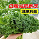 Qili Kale Seeds Four Seasons Balcony Cold-resistant Edible Olive Vegetables in Fields Easy to Plant Potted High-Calcium Vegetable Seeds Highly Nutritious Green Kale Seeds 100 capsules