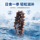 Xinglonggang Dalian ready-to-eat sea cucumber gift box, net content 2Jin Jin is equal to 0.5kg, 22-28 pieces, frozen Liao sea cucumber, holiday gift giving