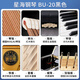 Xinghai Bachdorf piano piano imported from Germany new 88 key vertical piano BU-118