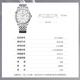 Watch Watch Mecanical Mecánico Hombres de Seagull Menor Hombres Simple Business Classic Single Calendar Steel Wnist Watch 816.12.1048 816.12.1048