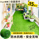 Linya artificial lawn carpet artificial fake turf high-end plastic outdoor balcony courtyard court paving green insulation mat 5A encryption premium spring grass 2.5cm Customized size contact customer service 1 meter wide How many meters long do you need to take a few shots