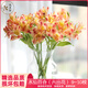 Yue Colorful Imperial Flower Princess Flower Amaryllis Flower Express Yunnan Base Straight Hair Hydroponic Fresh Cut Flowers for Girlfriends and Best Friends Narcissus Lily (Alstroemeria) 9-10 Branches