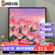 咔佐郁金香数字油画diy填充手工减压手绘填色油彩画丙烯涂色装饰挂画 SJ3897 60*60cm相框(颜色可选)+画笔颜料