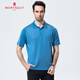Mengtejiao [Recomendado por la madre central] [Seda brillante de color brillante/mostrador de color brillante] Camiseta de manga corta para hombres en el verano Polo de la solapa de negocios de color sólido 9195 Borgoña 3 160/80a