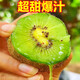 Shaanxi Meixian Xuxiang kiwi fruit 2025 new fruit picked now, sweet and juicy, bad fruit guaranteed to be compensated by JD.com Sweet and juicy 8 pieces (single fruit 60-70g)