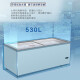 海尔（Haier）雪糕冰柜岛柜商用大容量卧式展示柜市透明玻璃门款冰箱饮料柜速冻冷冻柜生鲜水产 719升平面/冷藏冷冻切换719HE