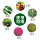 Stanley 10 Jin Jin is equal to 0.5 kilogram 20 Jin Jin is equal to 0.5 kilogram 30 Jin Jin is equal to 0.5 kilogram 50 Jin Jin is equal to 0.5 kilogram 100 Jin Jin is equal to 0.5 kilogram Organic fertilizer compound fertilizer is universal for agricultural vegetables, flowers and fruit trees 30 Jin Jin is equal to 0.5 kilogram High quality organic packaging