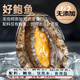 Linglue Fujian fresh frozen large abalone, net weight 400g, 8 pieces box, abalone hot pot barbecue, shellfish and seafood, fresh