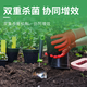 Guoguang 45% Tebuconazole Prochloraz Wheat Rose Flower Seedlings White Powder Anthrax Black Spot Fungicide 100g