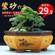 
Six-party engraved purple clay flower pot breathable green plants flowers and ceramic potted large diameter hexagonal bonsai pot 693 small red