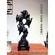 Liyun Pavilion High-End Lingbi Stein Ornamente natürlicher roher Stein Stranger Stein Taihu Stein Landschaft Stein berühmter Stein erster Stein für Feng Shui Stone 695 Drache Teng Prosperous Ära Stein, um Glück zu bringen
