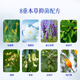 Fuyanjie Botanical Extract 100% Cotton Top Pads Snow Lotus Agrimony 8-fold Plant Extract Antibacterial Sanitary Pads 80 Pieces
