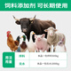 Huiqianfang Vitality Multi-vitamin Electrolytic Multi-dimensional Veterinary Trace Elements Livestock and Poultry Feed Additive for Chickens, Ducks, Cattle, Sheep and Pigs 30 Bags in Barrel 3 Bags Free, 33 Bags in total