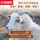 恒源祥【德绒发热】保暖内衣男士含羊绒蚕丝抑菌秋衣秋裤套装