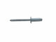 Beyzk Full Fer Opening Type Core Pulling Rivet Round Head Carbon Steel Galvanisé Tirling Rivet Iron Tiler Nail Acier Pulling Nail Straight Fer Round Head 6 * 12250