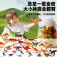 Wild Knight Children's Toys Ocean World Set Dinosaurier Eier Erleuchtung Frühaufschuld Simulationsmodell Junge 3-6. Geburtstagsgeschenk