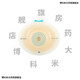 康乐保（Coloplast）16951 胜舒Mio/16971二件式造口袋深凸底盘便袋11452医院同款 b全月装】10个 16961底盘+30个/