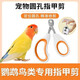 Nail scissors for parrots, nail sharpener for birds, claw sharpener for birds, nail clippers for cats, general purpose for beginners, buy 1 get 1 free - special nail scissors for parrots