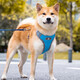 Star rudder Shiba Inu dog leash vest type harness explosion-proof small and medium-sized dog pet supplies dog leash dog walking rope Oxford cloth orange M (12-32Jin Jin equals 0.5kg)