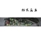 Succulent wood flower tank natural log wood root dead wood flower pot Zen Dendrobium succulent plant rotten wood flower pot Black 1355