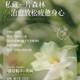 Ventilateur Yongchen Gardenia Perfume shampooing Contrôle de l'huile Contrôle anti-étroies moelleux Soulagez les démangeaisons du shampooing soyeux parfumé longtemps recommandé pour les femmes et les hommes Shampooing + Gel de douche + revitalisant