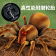 Qisen (Qisen) Chison's Toy's Large Télécommande Spider Simulation Modèle de simulation électronique Pénéreau de compagnie Prank Scary Toy Electric [Version classique - Remote Contrôle Centipede] Jaune et noir Modèle 9901 + Snail Standard Official Standard