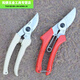Yuma TA-130A manual labor-saving pruning shears, fruit tree shears, gardening shears, pruning shears, gardeners, farmers 130 pruning shears