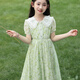 G.Duckkids Little Yellow Yellow Duck Girls Dress Summer 2025 Новая модная детская шифоновая юбка с цветочным