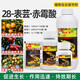 Whole tree fruit-brassinoids gibberellic acid longan lychee citrus fruit trees promote flower preservation and fruit expansion plant growth regulator 100ml