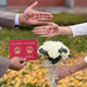 Star Duo Bride hält Blumen im chinesischen Valentinstag von Hochzeitsvorschlag, um eine Heiratsurkunde zu erhalten, die Blumen mit Hochzeitsfotografie -Requisiten simuliertes Strauß Champagnerfarbe hält Blumen [ferses Produkt]