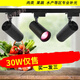 Zesuyun Fresh Lamp LED Fruit Shop Deli Special Lamp Vegetable Seafood Supermarket Ceiling Light Colored Light Track Spotlight Warm Yellow Light Black Shell 30W-Special for Delicatessen