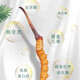 新鲜冬虫夏草2025年头期虫草正品领导高海拔送礼正宗鲜虫草过节 新鲜虫草加冰发货