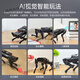 Fantasy ROS Roboter vierbeiniger Roboterhund Puppypi Bionic Intelligent Programming AI Vision Model Raspberry Pi 4b/5 Entwicklungsversion einschließlich Radar + Voice + Sensor-Expansionspaket Raspberry Pi 5/8g