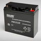 SEALAKE海湖蓄电池FM12240 12V24AH17A20A38A12A18A14A7AH消防UPS FM12180（12V18AH）