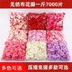Pickup Cat Simulated Petals Wedding Hand-Spreading No-Rub Simulated Rose Fake Petals Knot Wedding Confession Decoration Hand-Spreading Proposal Flowers White Petals (1000 Pieces)