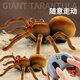 Qisen (Qisen) Chison's Toy's Large Télécommande Spider Simulation Modèle de simulation électronique Pénéreau de compagnie Prank Scary Toy Electric [Version classique - Remote Contrôle Centipede] Jaune et noir Modèle 9901 + Snail Standard Official Standard