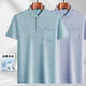 
PIERRE CARDIN Daddy's lapel ice silk short-sleeved T-shirt middle-aged men's casual T-shirt middle-aged and elderly thin POLO shirt summer clothes T ice silk-9923 blue real pocket ice silk-992 M 48/165/