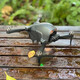 [Drone of Forcy Evitation Drone] Photographie aérienne Photographie à haute définition 8k Aircraft à télécommande Aélicoptère Toy Hélicoptère, collection, résistance au vent sans pinceau [8K Réglementation électrique.