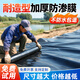 Shuangyuan thickened fish pond anti-seepage membrane geomembrane fish pond special waterproof cloth rain-proof plastic cloth moisture-proof plastic film 2*2 meters