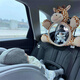 Litian Car Baby Beobachtung Spiegel Baby Car Innenraum Beobachtung Spiegel Sicherheitssitz Kinderwagen Rückspiegel Spiegel Korbspiegel Giraffe Real Schuss Hochqualität