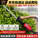 Bare Metal Lawn Mower Brush Cutting Machine Hedge Trimmer Blowing Suction Machine High Branch Saw High Power Garden Tool (Requires Self-equipped Battery) 4840 Multi-function Brush Cutting Machine