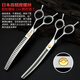 Sakura dance open curved fishbone scissors for pet dog beauticians, natural/dental/curved scissors imported 440c/vg10 silver curved fishbone scissors 7.0 inches - about 60 grams