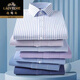 
Classic car high-end cotton long-sleeved shirt men's 2025 new business casual and iron-free middle-aged professional formal wear solid color striped shirt 6624 purple thin strips 38 (Suggested weight 115-120 Jin [Jin equals 0.5 kg])
